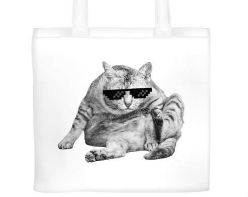Plátěná nákupní taška Drsná kočka