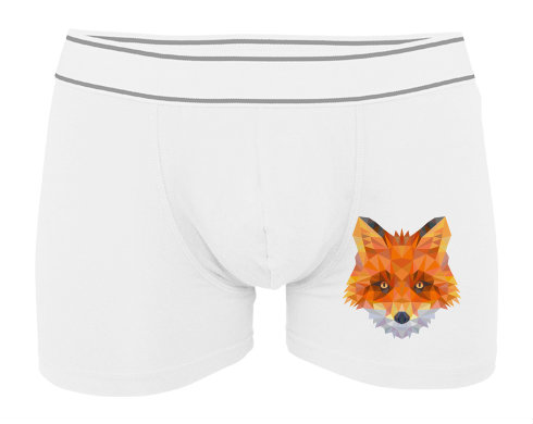 Pánské boxerky Contrast liška