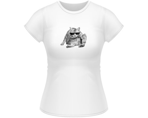 Dámské tričko Classic Drsná kočka