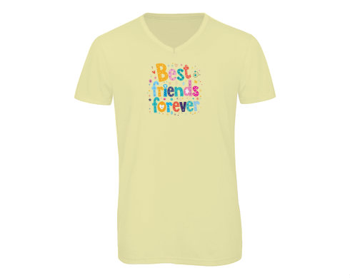 Pánské triko s výstřihem do V Best Friends