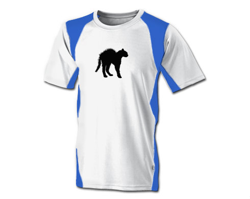 Funkční tričko pánské Vyděšená kočka