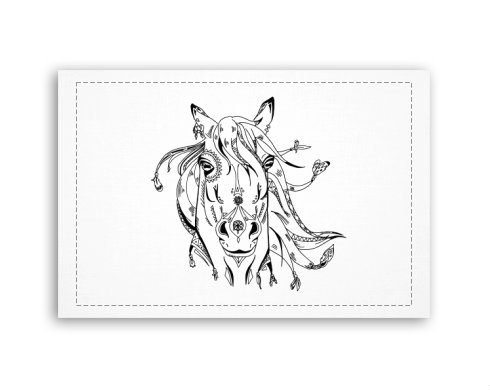 Fotoobraz 60x40 cm malý Kresba koně