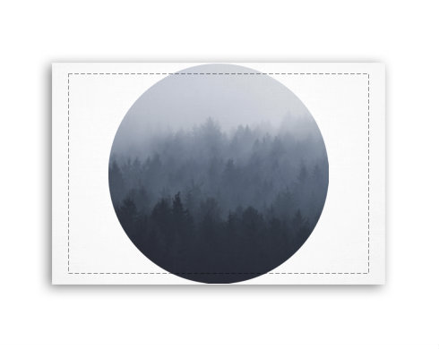 Fotoobraz 60x40 cm malý Forest in the fog