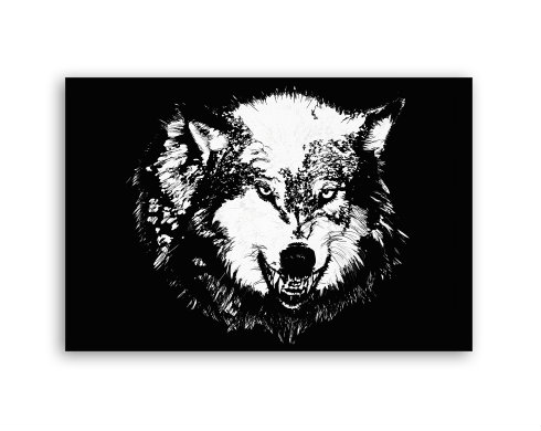 Fotoobraz 90x60 cm střední Wolf