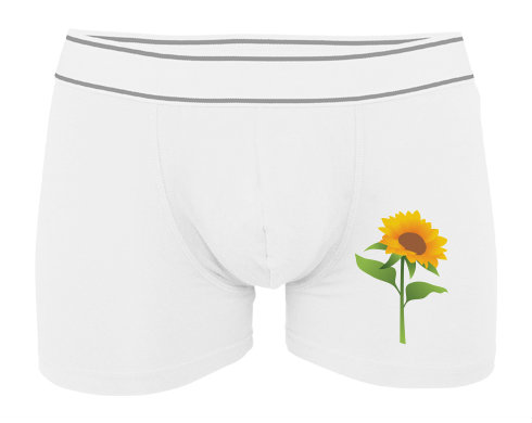 Slunečnice Pánské boxerky Contrast - Bílá