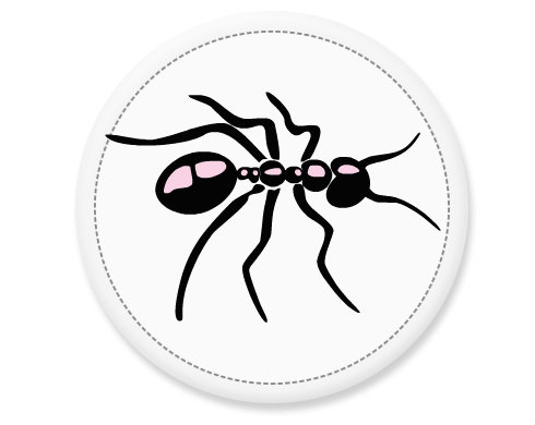 mravenec Placka - Bílá