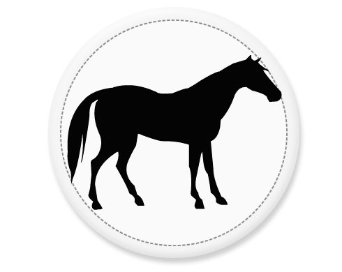 Kůň Placka - Bílá