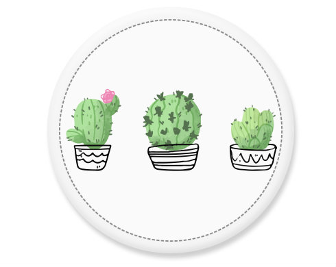 Kaktusy Placka - Bílá