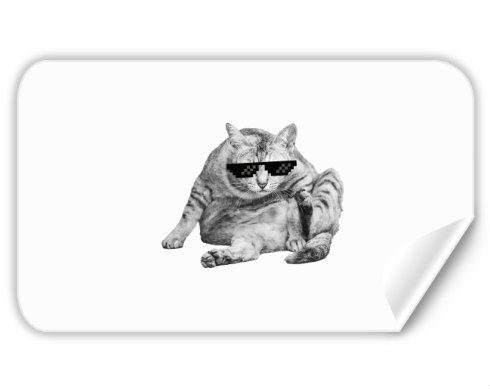 Drsná kočka Samolepky obdelník - Bílá