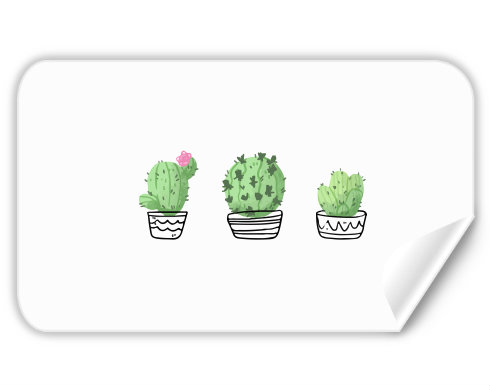 Kaktusy Samolepky obdelník - Bílá