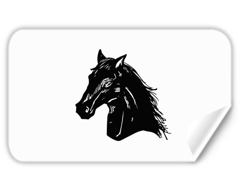 Kůň  Samolepky obdelník - Bílá