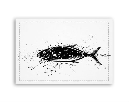 Ryba Fotoobraz 90x60 cm střední - Bílá