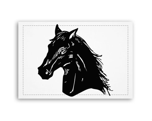 Kůň  Fotoobraz 90x60 cm střední - Bílá