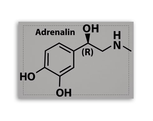 Adrenalin Fotoobraz 90x60 cm střední - Bílá