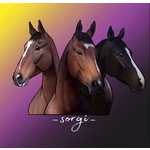 Merch Sorgi Šáňa Bruce