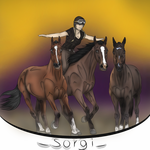 Merch Sorgi Šáňa Bruce