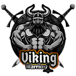 Silver Viking Warrior shield