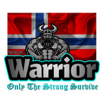 Viking a norská vlajka