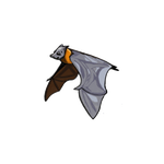 Kaloň rodriguezský