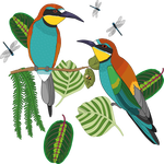 Bee-eater / Vlha pestrá