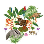 amazonská zvířata