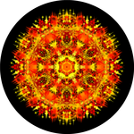 Zářící pevnost 1