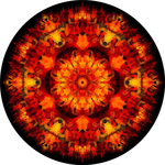 Království ohně 1