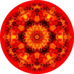 Království ohně 2