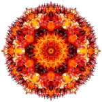 Království ohně 4