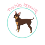  Pražský Krysařík 2