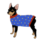 pražský krysařík ve svetru 1