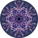 Šamanův příběh 5