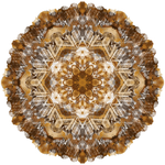 Karamelový pohled 2