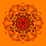 Slunovrat (čtverec)