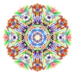 Vesmírná spojení IB 