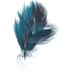 FEATHER