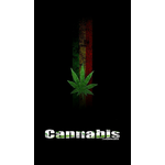 Cannabis 
