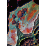 Abstraktní textura #1