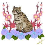 Tsushima leopard cat