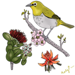 Japanese white eye and flowers