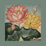 Vintage ilustrace, lotos