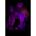 Sova v magickém tichu 