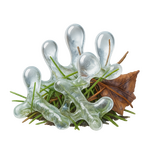 Ledové království