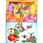 3 a 3,14 v Posvátné geometrii a 