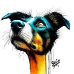 Border kolie – barevný portrét (