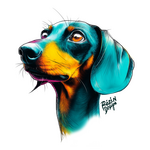 Jezevčík – barevný psí portrét