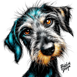 Funny Dog Portrait – barevný psí