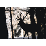 druhý plakát jelen