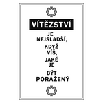 Motivační obraz s citátem o úspě