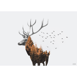 Jelen (dvou-expozice)